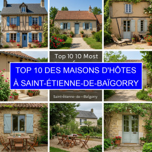 Top 1 des Maisons d'hôtes à Saint-Étienne-de-Baïgorry